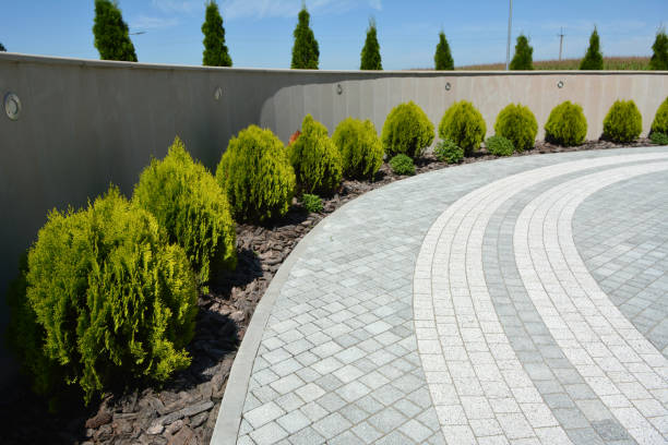 Best Driveway Paving Contractor  in Lewisville, WA